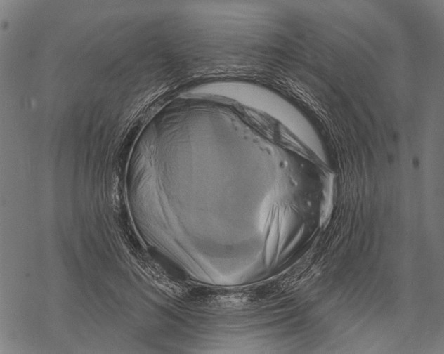 X0000068840692200605261641