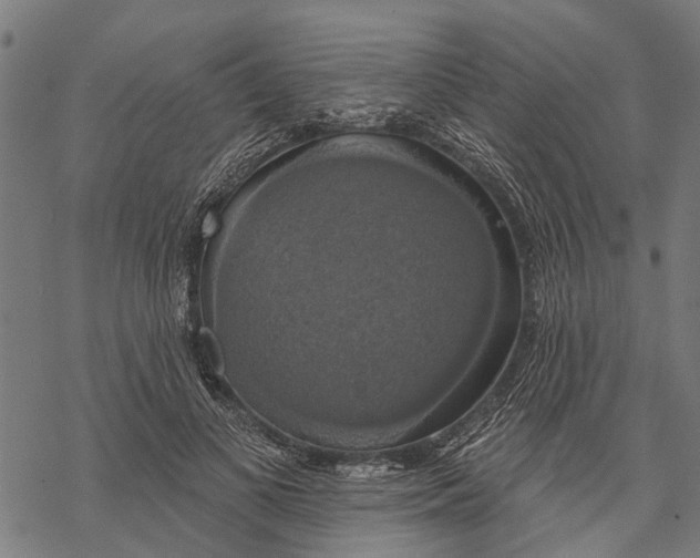 X0000068840693200605261641