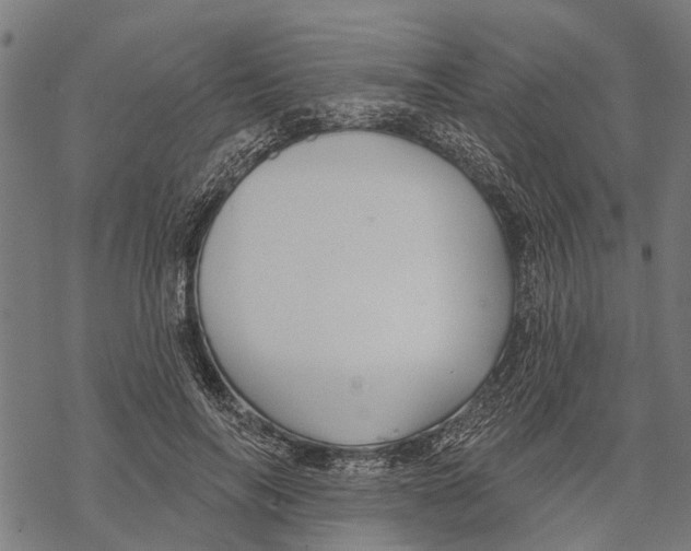 X0000068840694200605261641