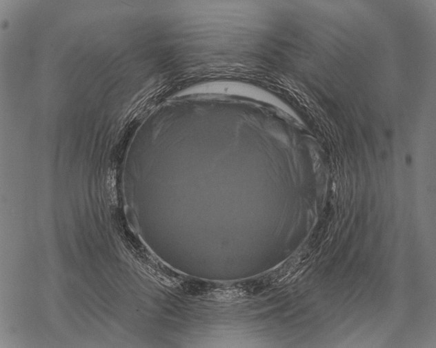 X0000068840696200605261641