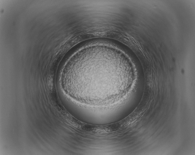 X0000068840697200605261641