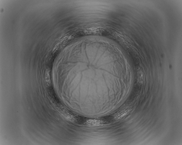 X0000068840699200605261641