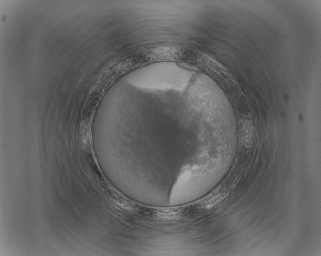 X0000068840701200605261641