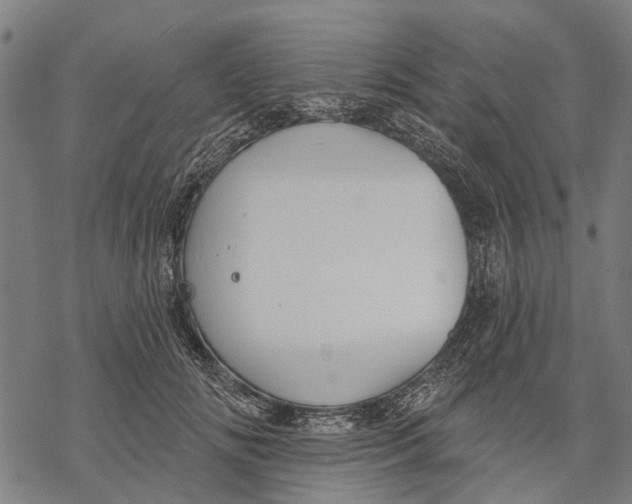 X0000068840702200605261641