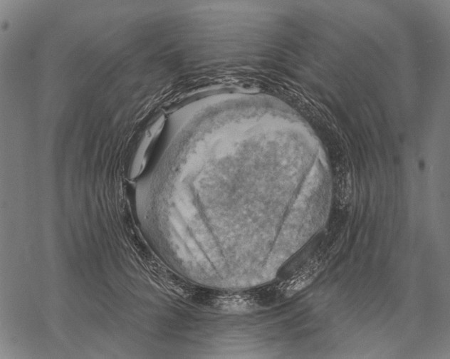 X0000068840704200605261641