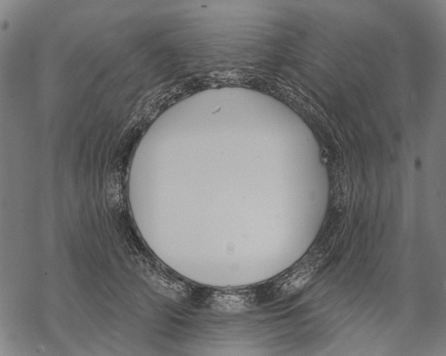 X0000068840706200605261641