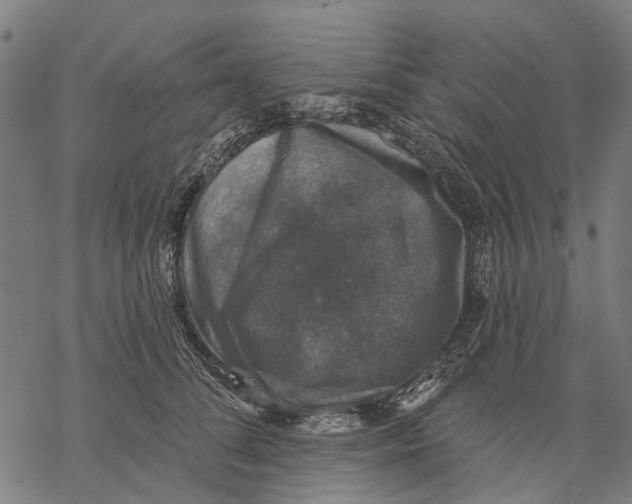 X0000068840708200605261641