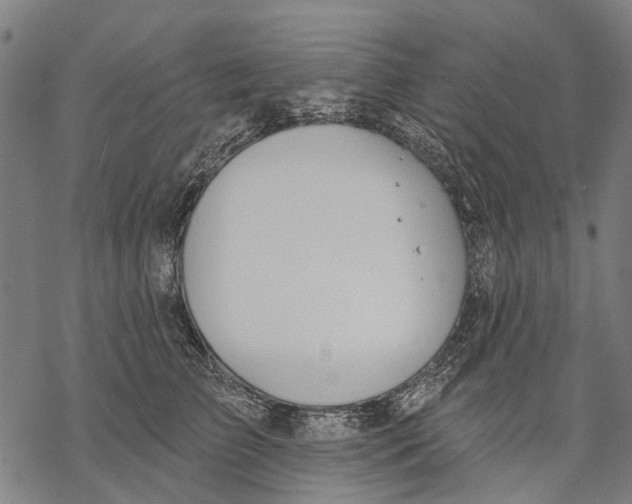 X0000068840709200605261641