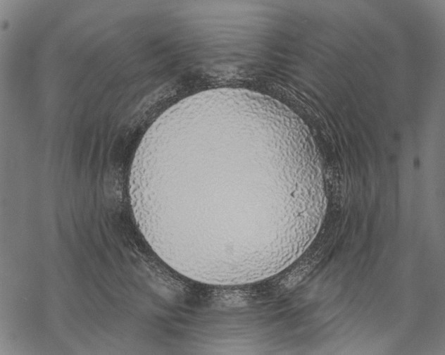 X0000068840710200605261640