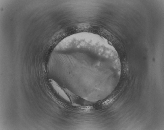 X0000068840711200605261640