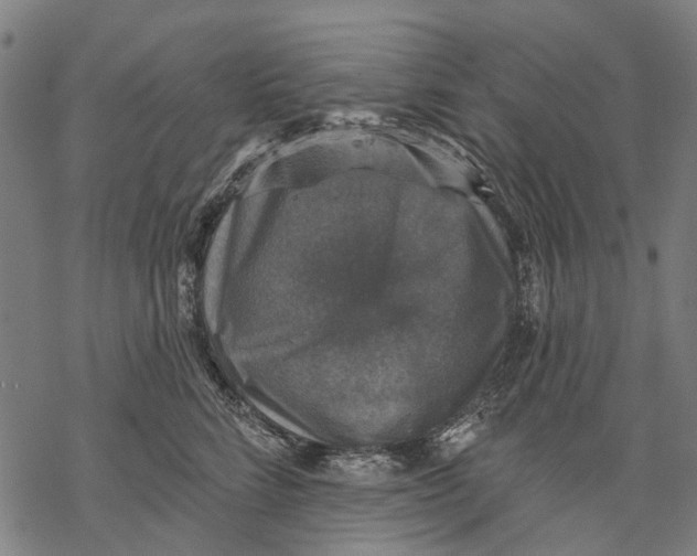 X0000068840712200605261640