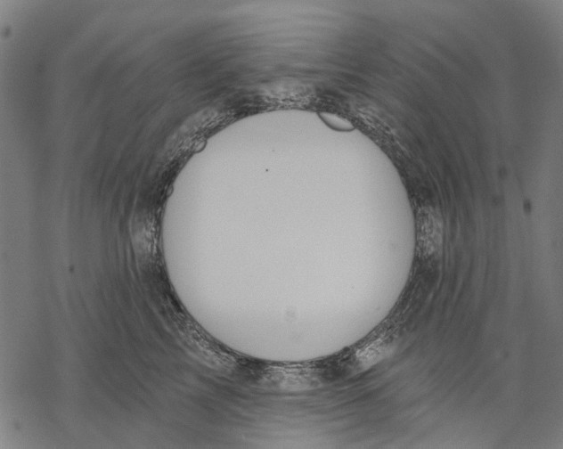 X0000068840713200605261640