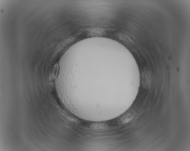 X0000068840714200605261640