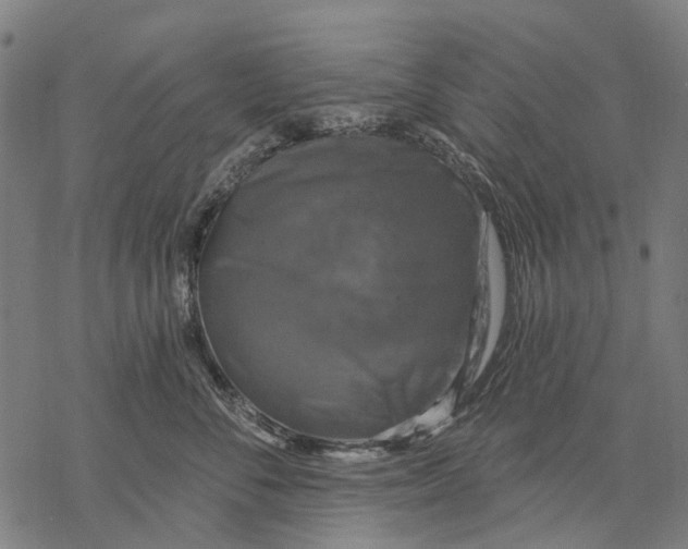 X0000068840716200605261640