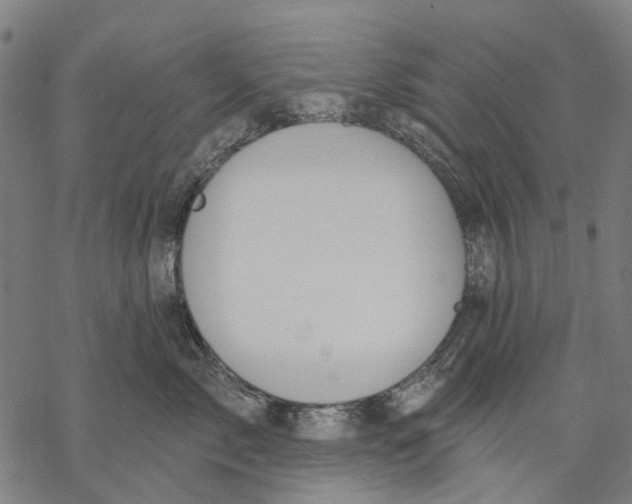 X0000068840717200605261640