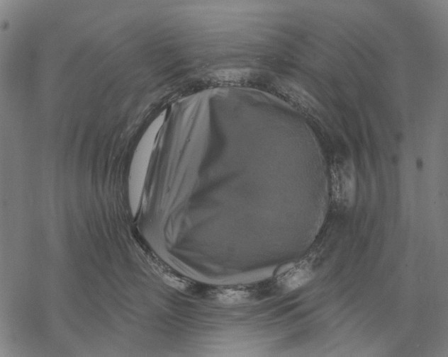 X0000068840718200605261640