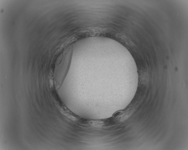 X0000068840719200605261640