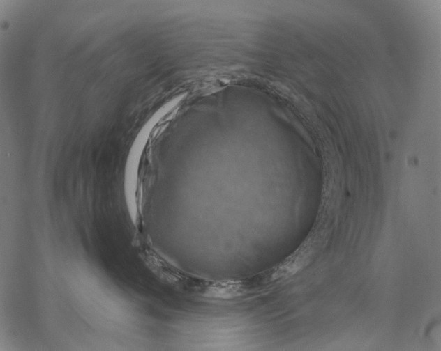 X0000068840720200605261640