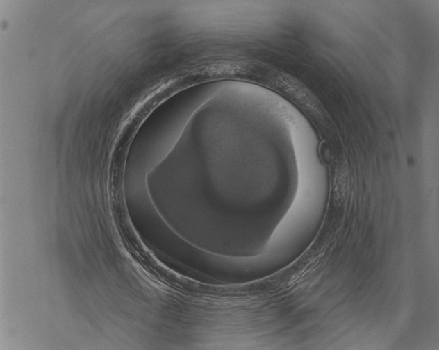 X0000068840722200605261640