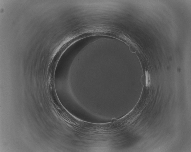 X0000068840723200605261640