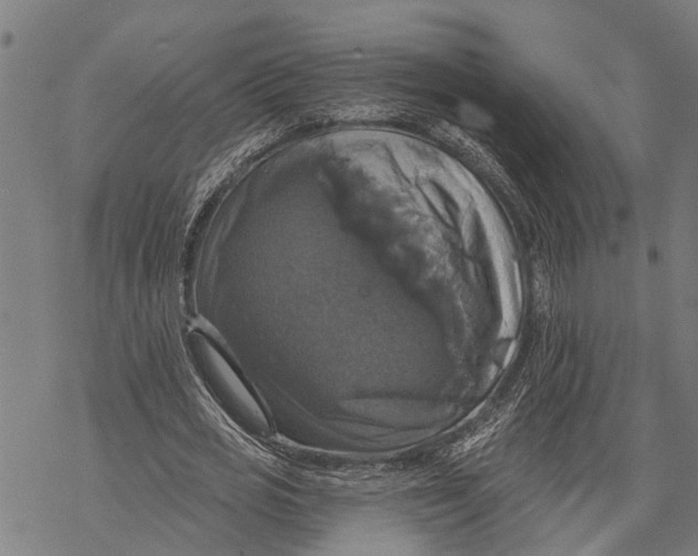 X0000068840725200605261640