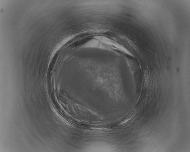 X0000068840726200605261640