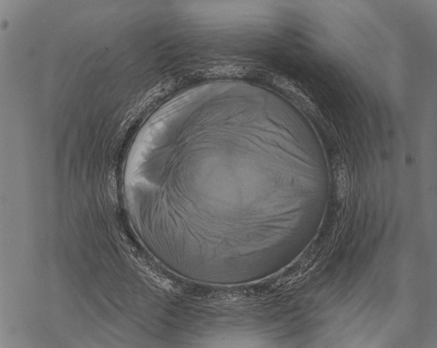 X0000068840729200605261640