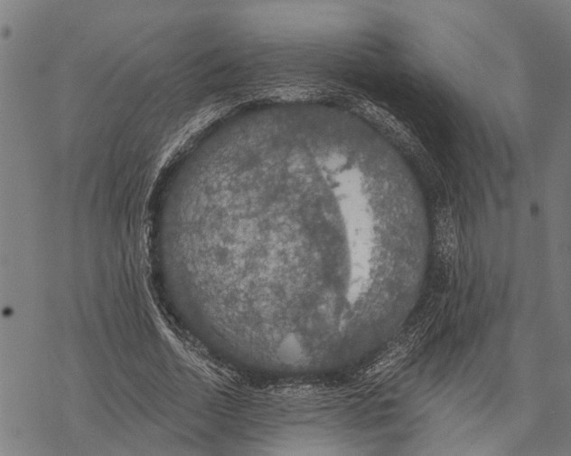 X0000068840730200605261640