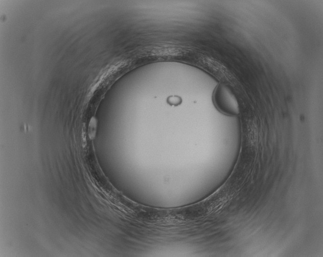 X0000068840731200605261640