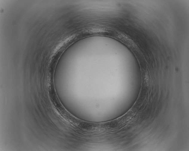 X0000068840732200605261640