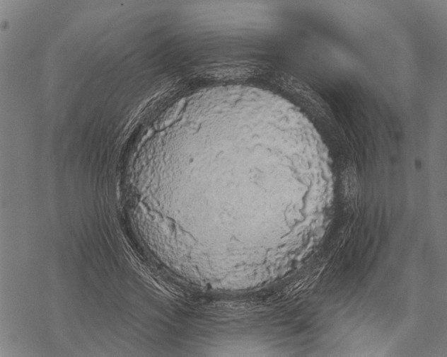 X0000068840733200605261640