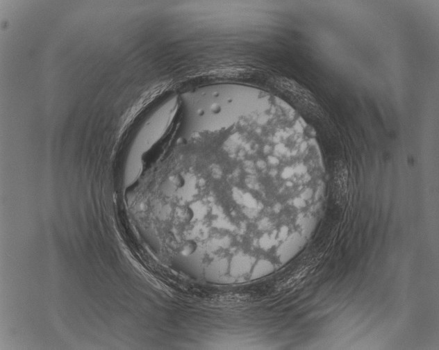 X0000068840734200605261640