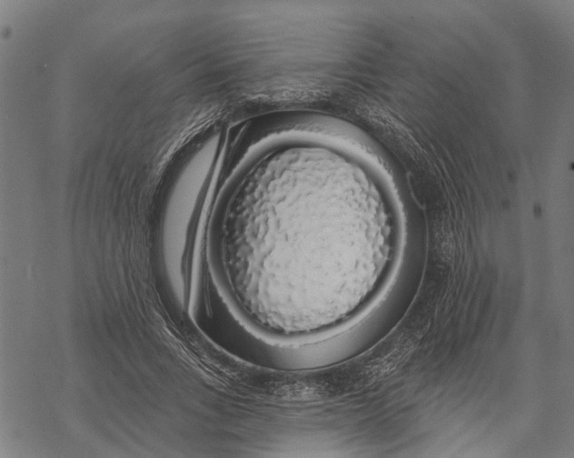 X0000068840735200605261640