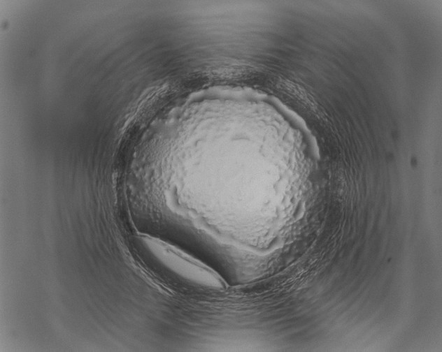 X0000068840738200605261640