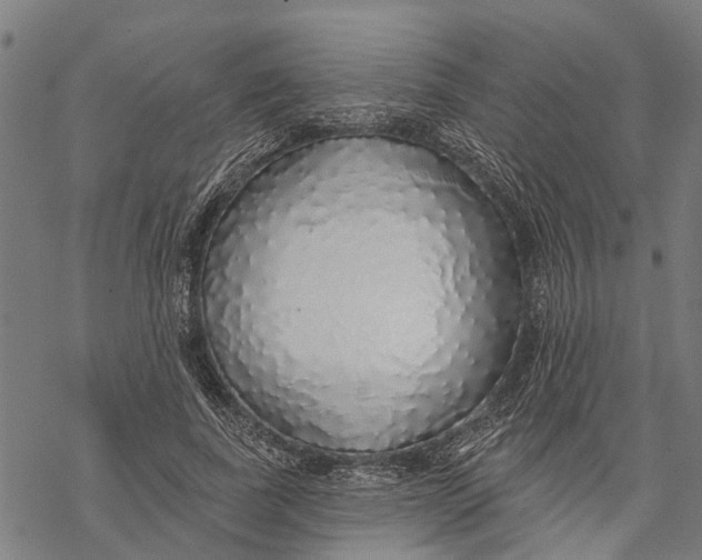 X0000068840739200605261640