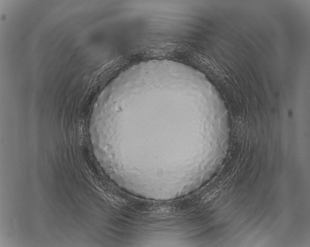 X0000068840741200605261640