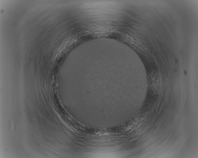 X0000068840742200605261640