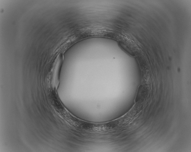 X0000068840744200605261640