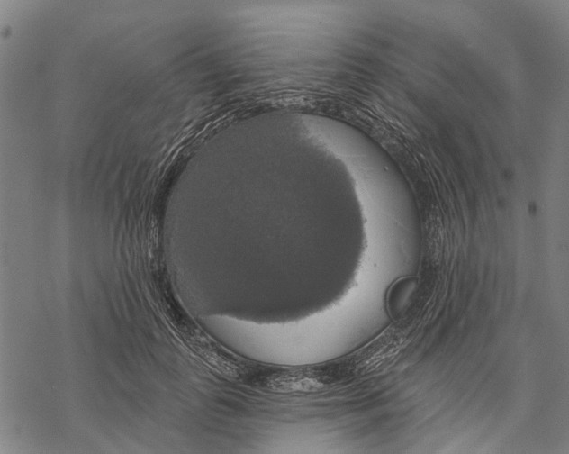 X0000068840747200605261640