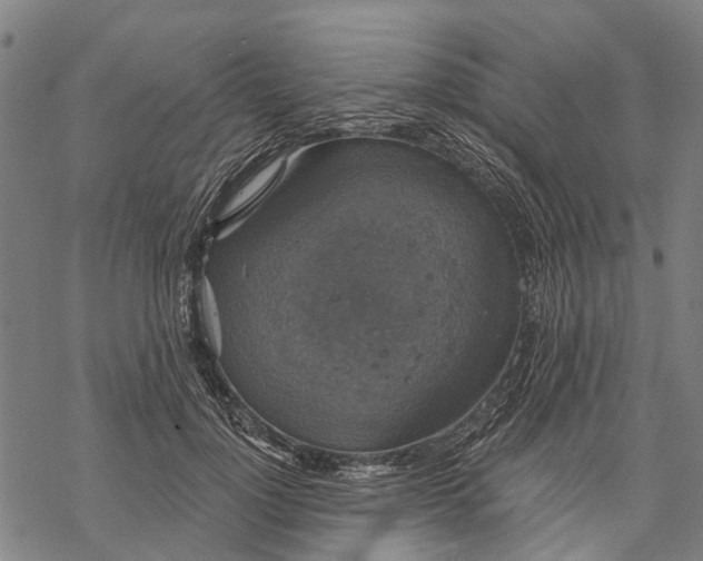 X0000068840748200605261640