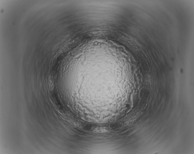 X0000068840751200605261640