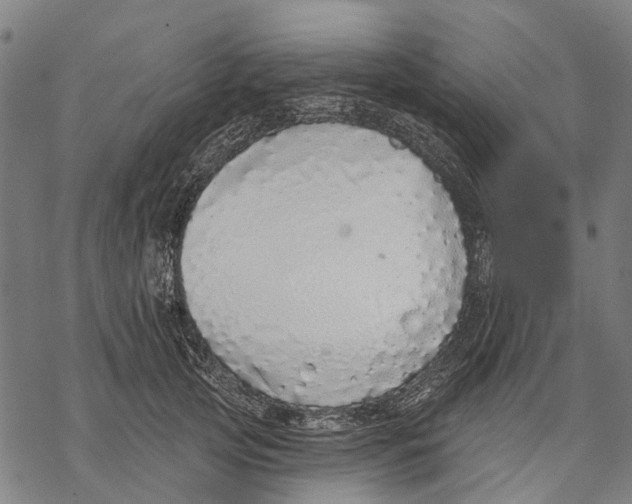 X0000068840753200605261640