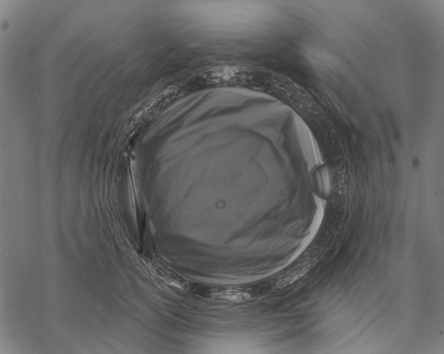 X0000068840754200605261640