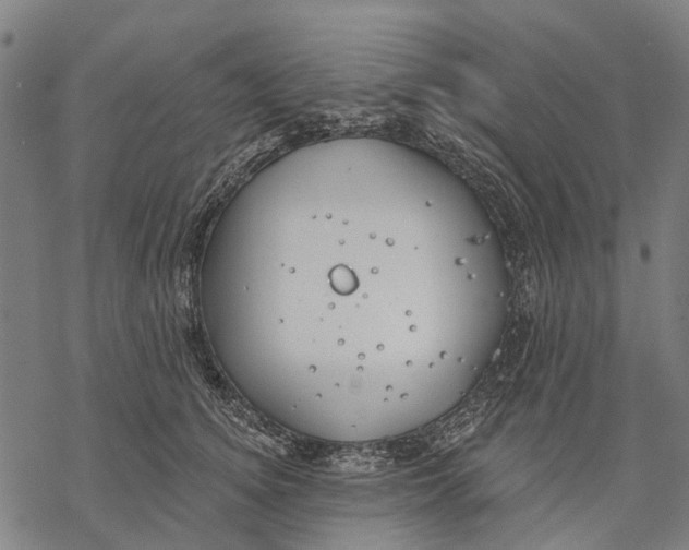 X0000068840756200605261640