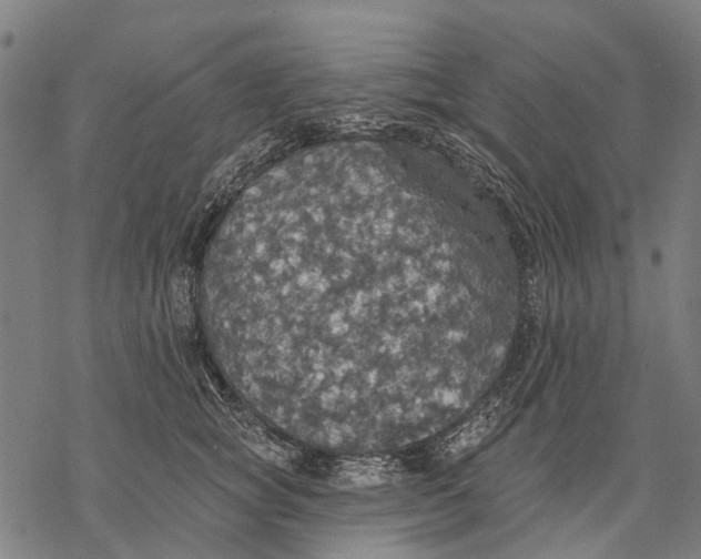 X0000068840757200605261640