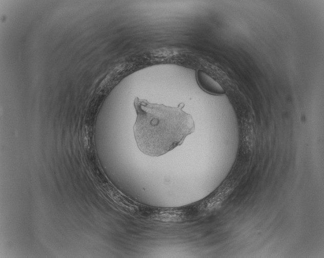 X0000068840758200605261640