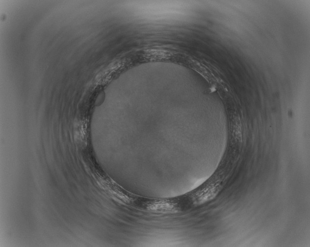 X0000068840759200605261640