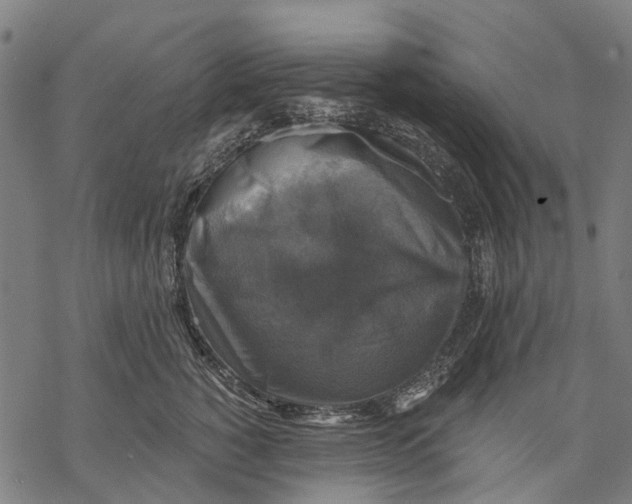 X0000068840760200605261640