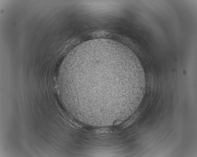 X0000068840761200605261640