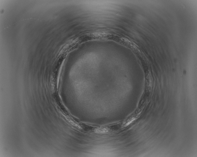 X0000068840762200605261640